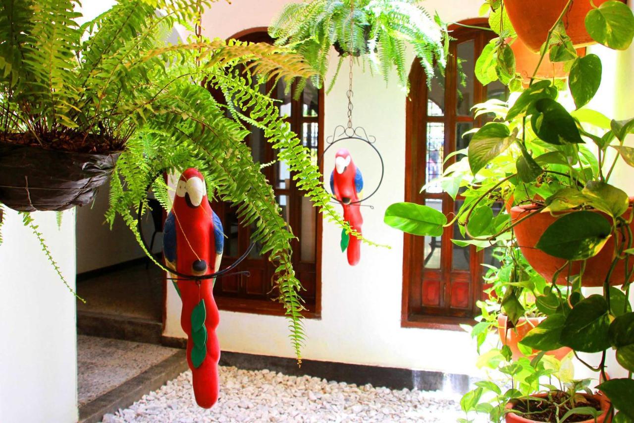 La Guaca Hostel Santa Marta Экстерьер фото